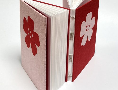 Nieuwe workshop: Twin-boekje